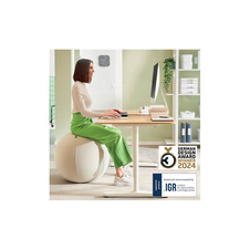 Sedací míč Leitz ERGO - světle šedá