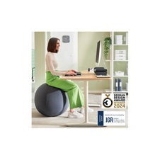 Sedací míč Leitz ERGO - tmavě šedá