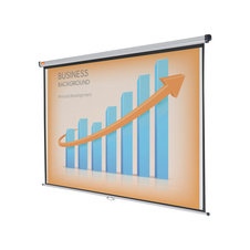 Plátno projekční 16:10 na zeď - 1750 x 1090 mm