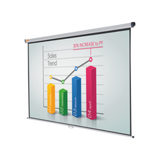 Plátno projekční 16:10 na zeď - 1750 x 1090 mm