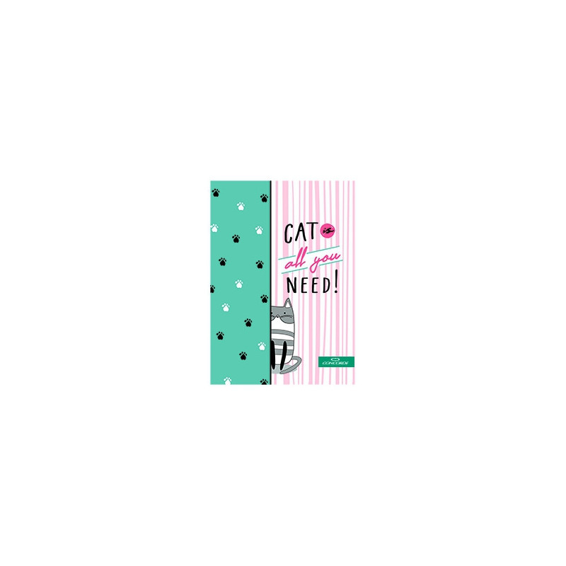 Kniha záznamní lepená Concorde - A5 / linka / 100 listů