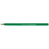 Pastelky Colorino trojhranné / 12 ks / tmavě zelená