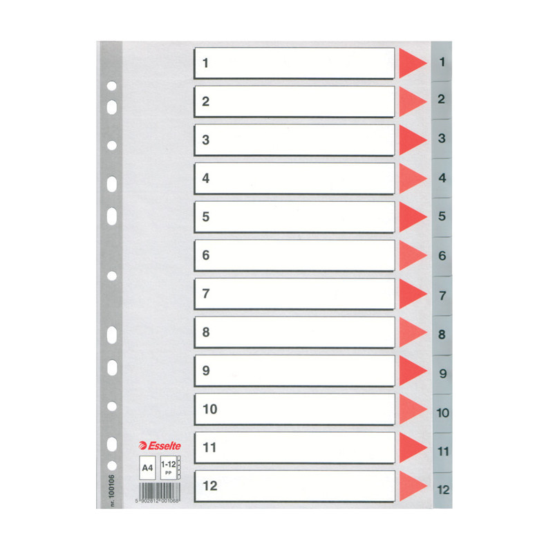 Rozdružovač A4 plastový Esselte - šedý / 1 - 12