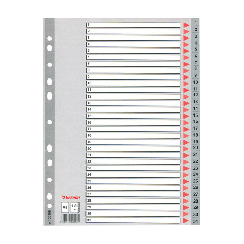 Rozdružovač A4 plastový Esselte - šedý / 1 - 31