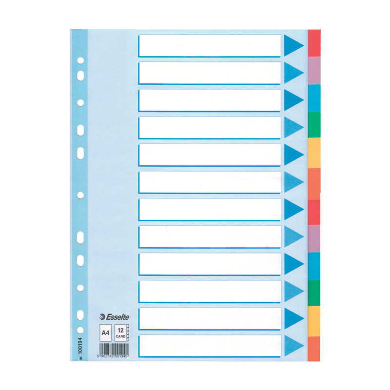 Rozdružovač A4 kartonový Esselte - barevný / 12 listů