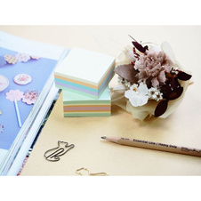 Samolepicí bločky Stick´n by Hopax FSC COC - 51 x 51 mm / 240 lístků / luční pastelové barvy