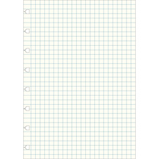 Náhradní listy Filofax Notebook - A5 / čtvereček