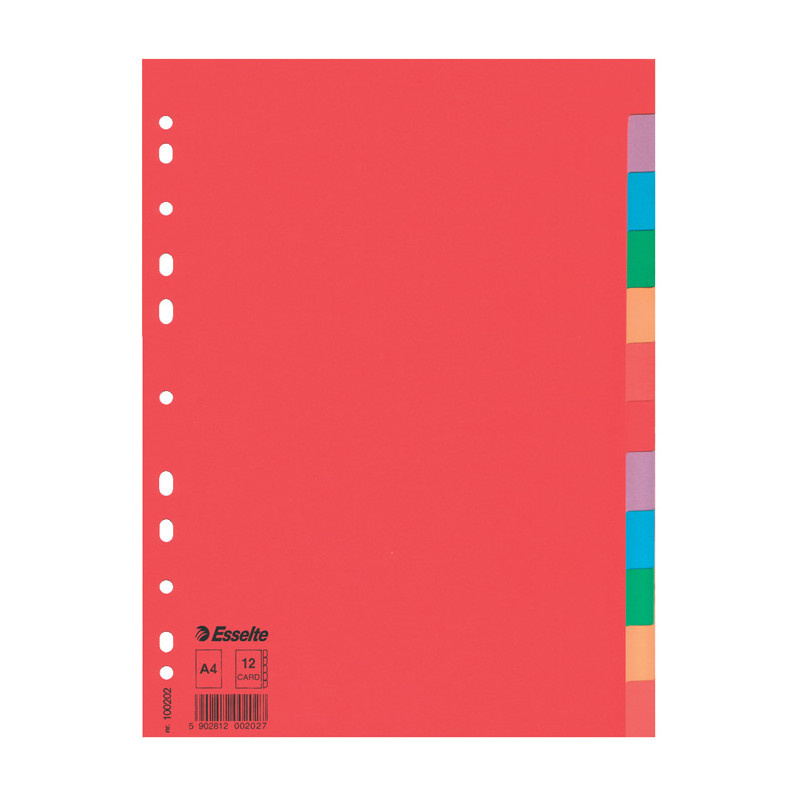 Rozdružovač A4 kartonový Esselte - barevný / 12 listů