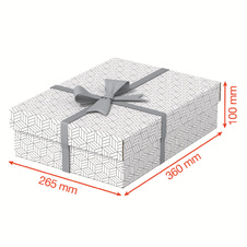 Krabice úložná Esselte - M / bílá / 360 x 265 x 100 mm / 3 ks