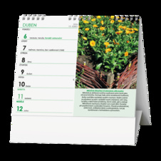 Kalendář stolní MINI Léčivé rostliny / BSK6