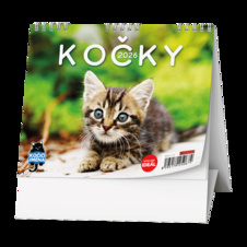 Kalendář stolní MINI Kočky / BSL9