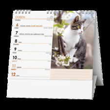 Kalendář stolní MINI Kočky / BSL9