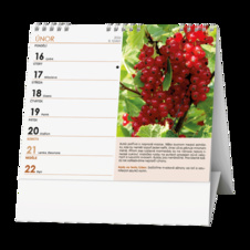 Kalendář stolní MINI Zahrádkářský / BSK7