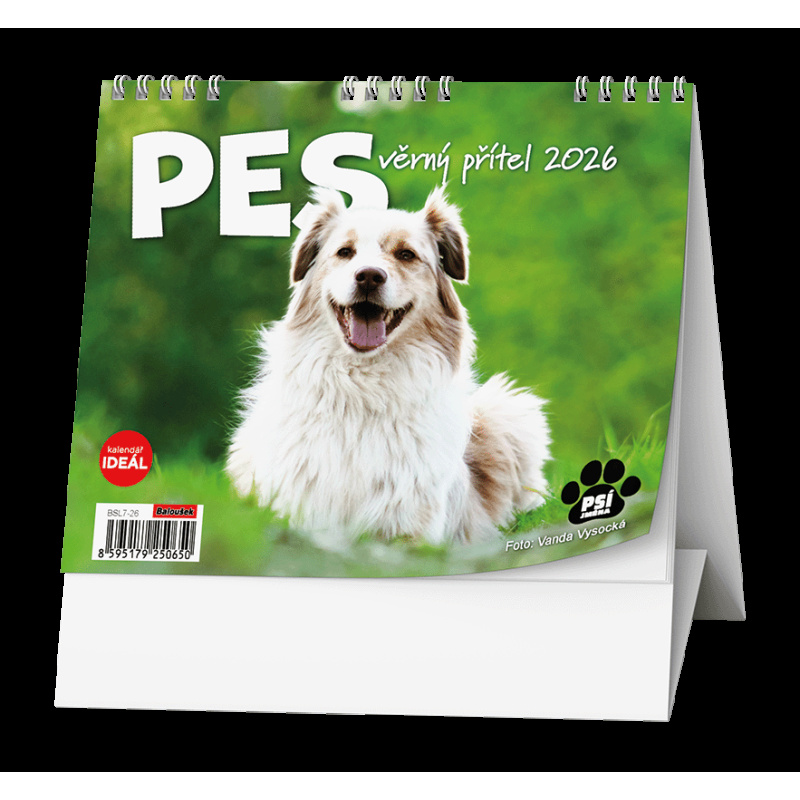 Kalendář stolní MINI Pes, věrný přítel / BSL7