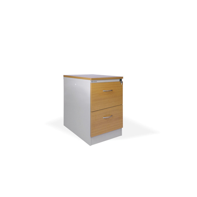 Kartotéky kovové / čelo ze dřeva - RGD 12 CE / 2 zásuvky