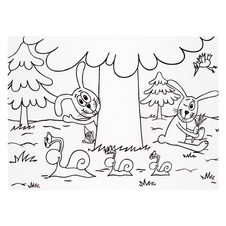 Omalovánky A5 - Lesní zvířátka