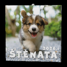 Kalendář nástěnný poznámkový - Štěňata / BNL2