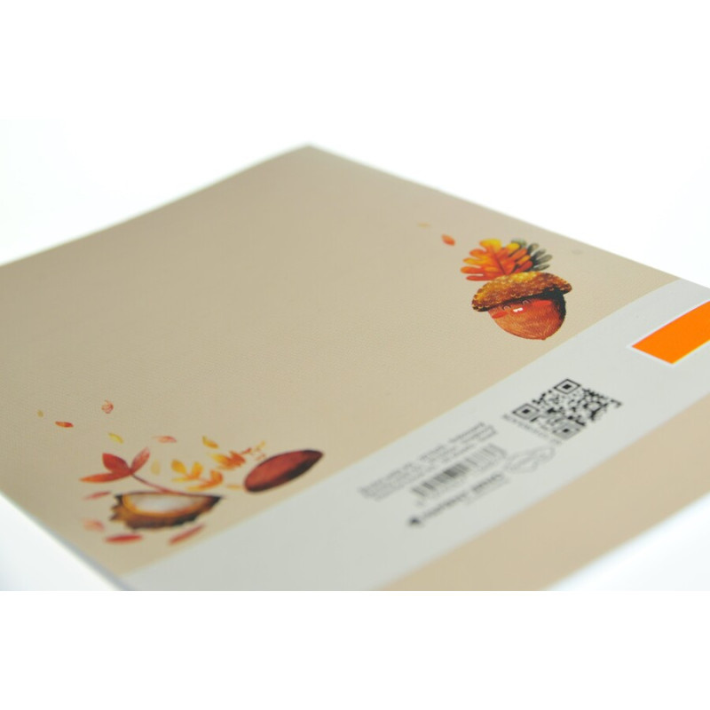 Sešit školní ŠKOLÁČEK 523 / 20 listů / A5 / široká linka