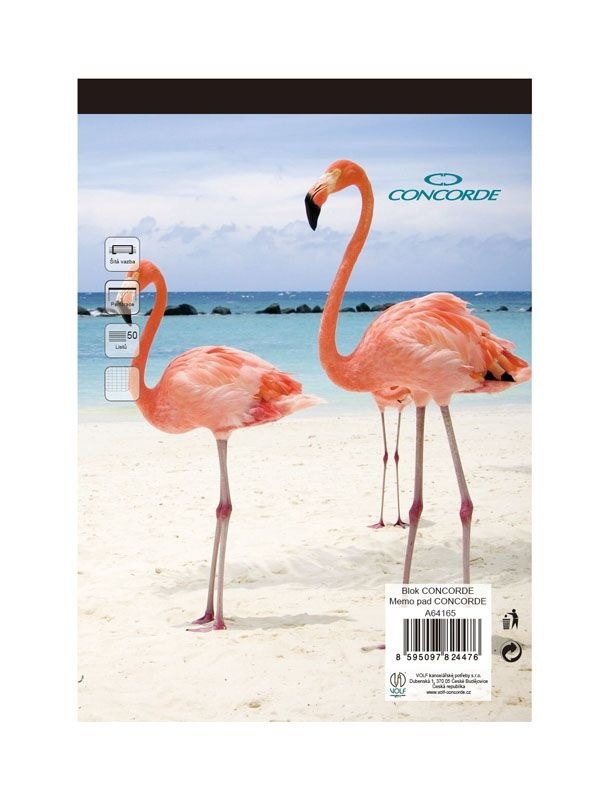 Blok Concorde lepený bezdřevý - A5 / čistý