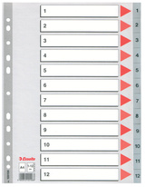 Rozdružovač A4 plastový Esselte - šedý / 1 - 12