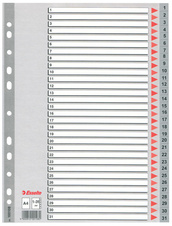 Rozdružovač A4 plastový šedý Esselte - 1 - 31