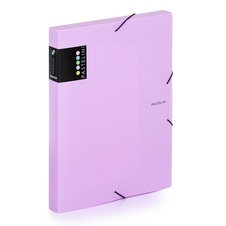Box na spisy A4 s gumou PASTELINI - fialová